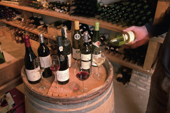 Wijn proeven in de wijnkelder
